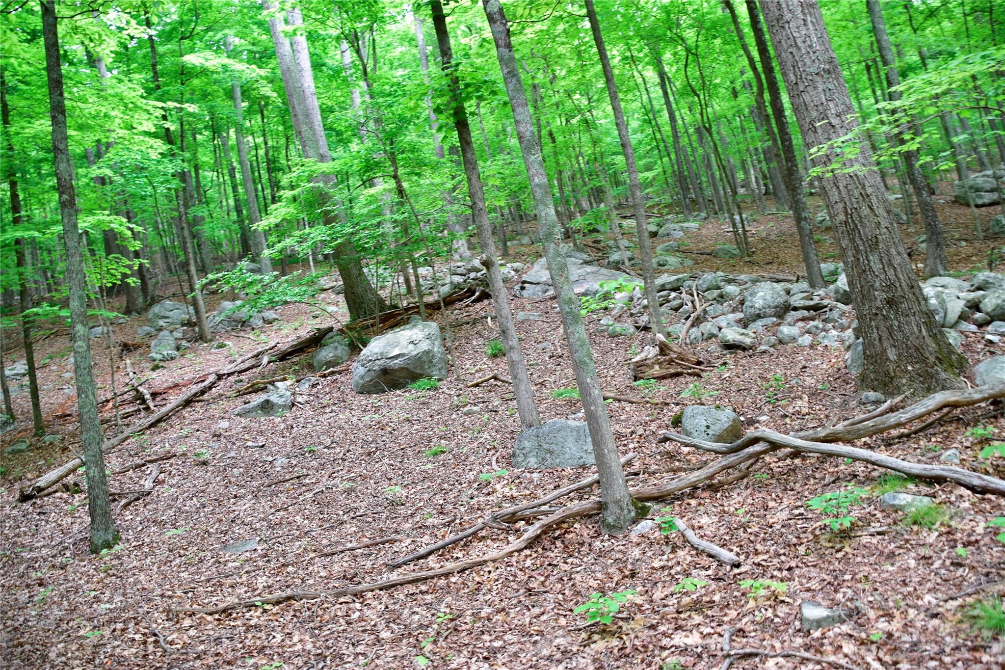 #20 photo, N Mountain RD, Gardiner , NY 