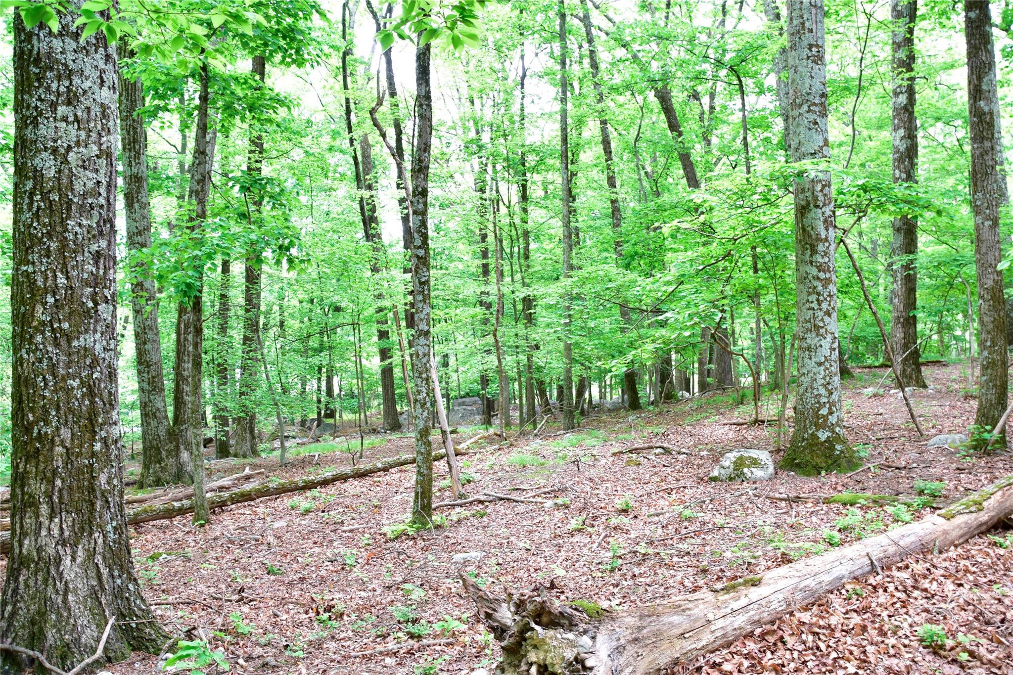 #9 photo, N Mountain RD, Gardiner , NY 