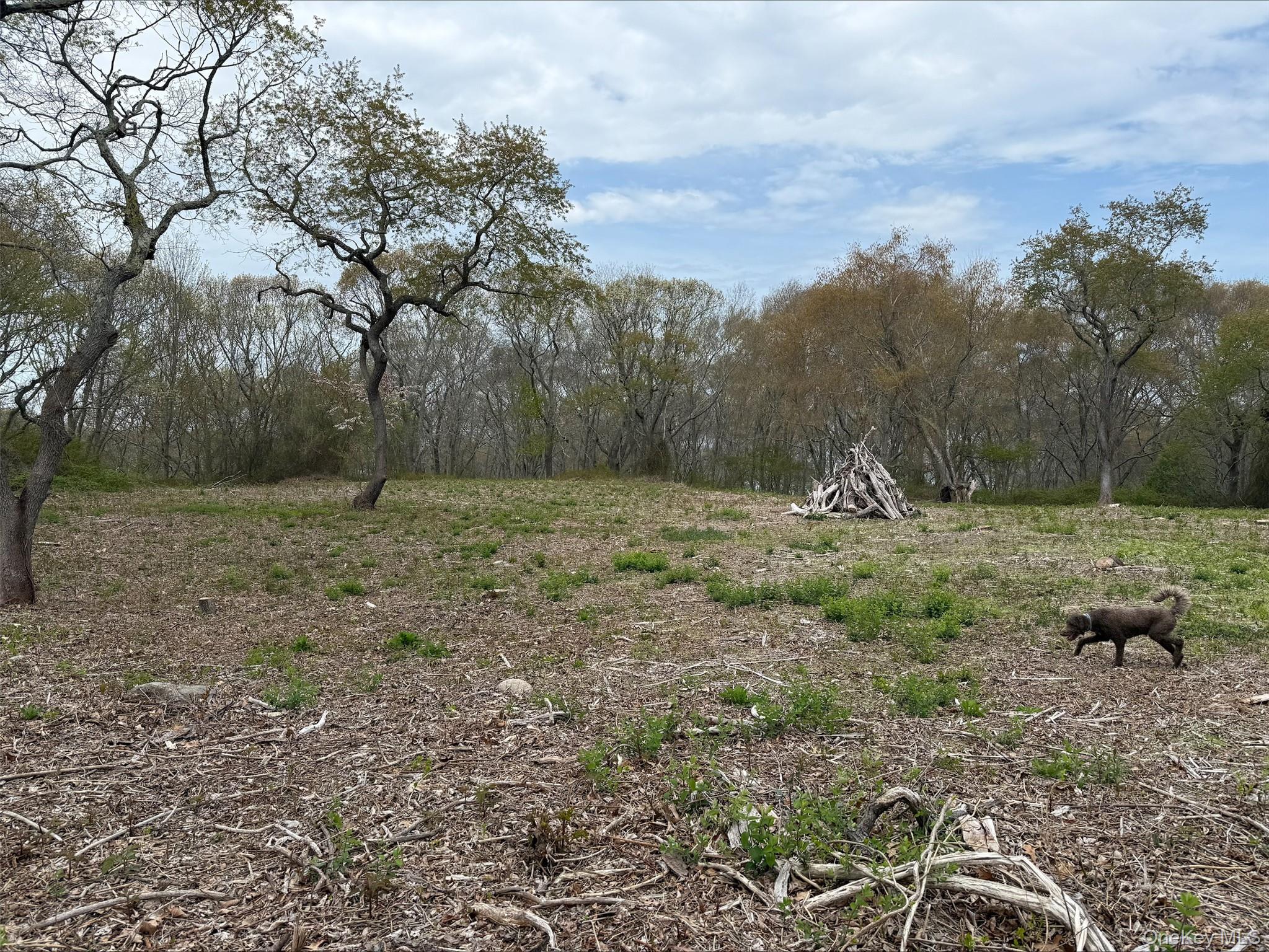 #20 photo, 00 East End Road, サフォーク郡 Fishers Island , NY 06390