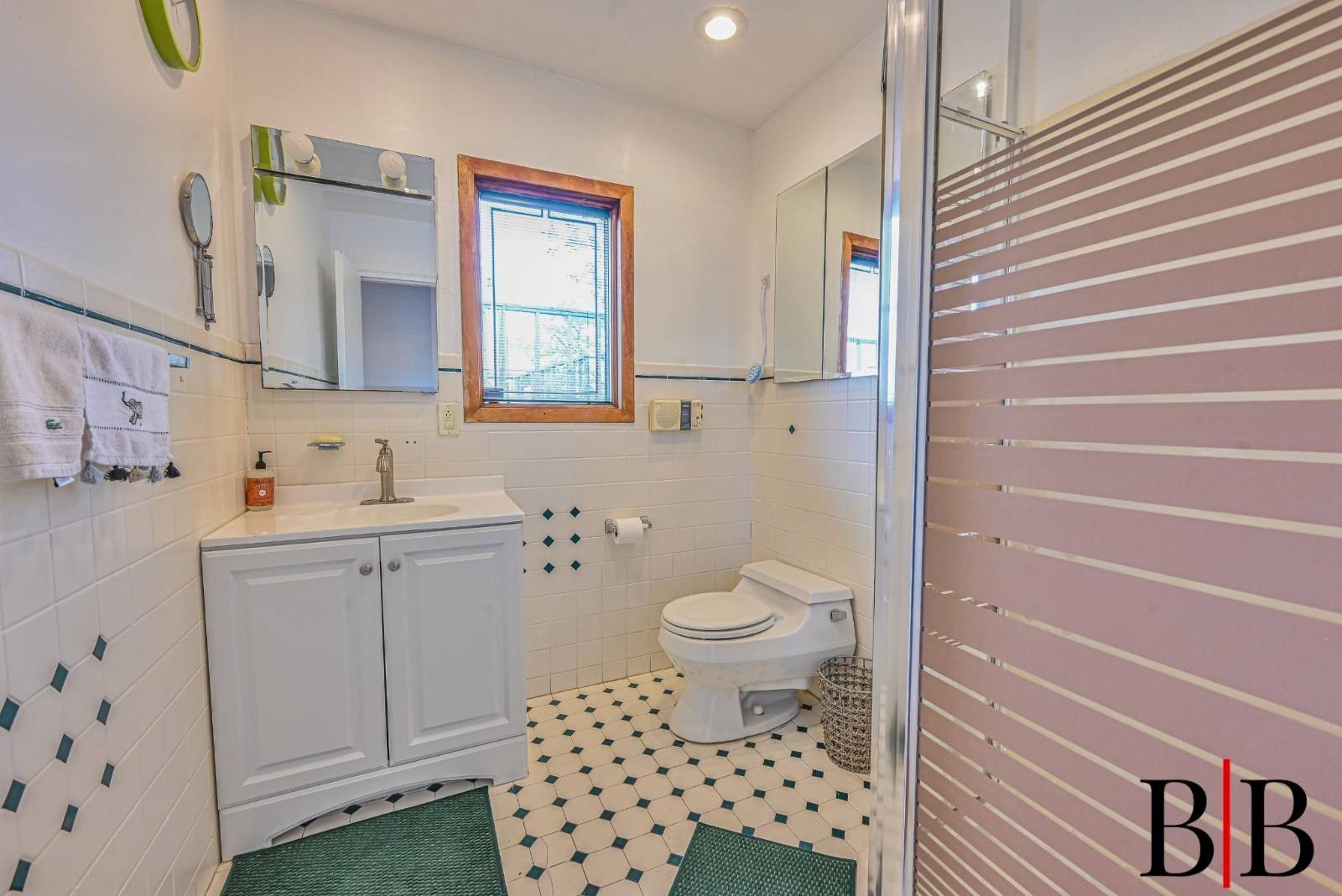 #21 photo, 80 Whitman Drive, Mill Basin , NY 11234