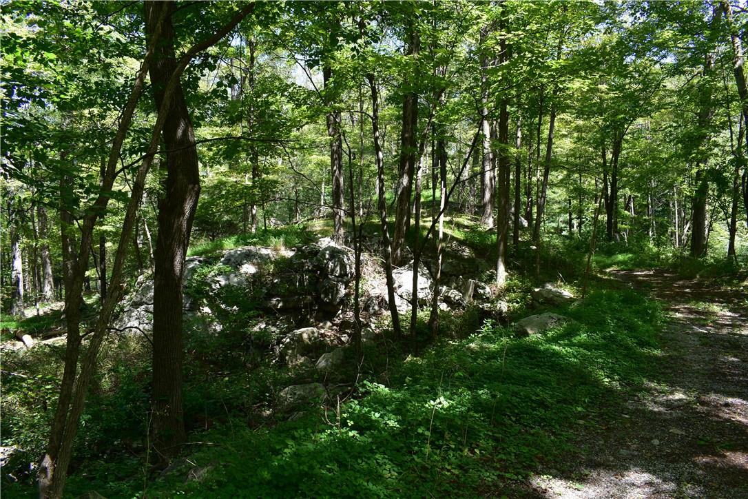 #3 photo, Acoma Road, Tuxedo Park , NY 10987