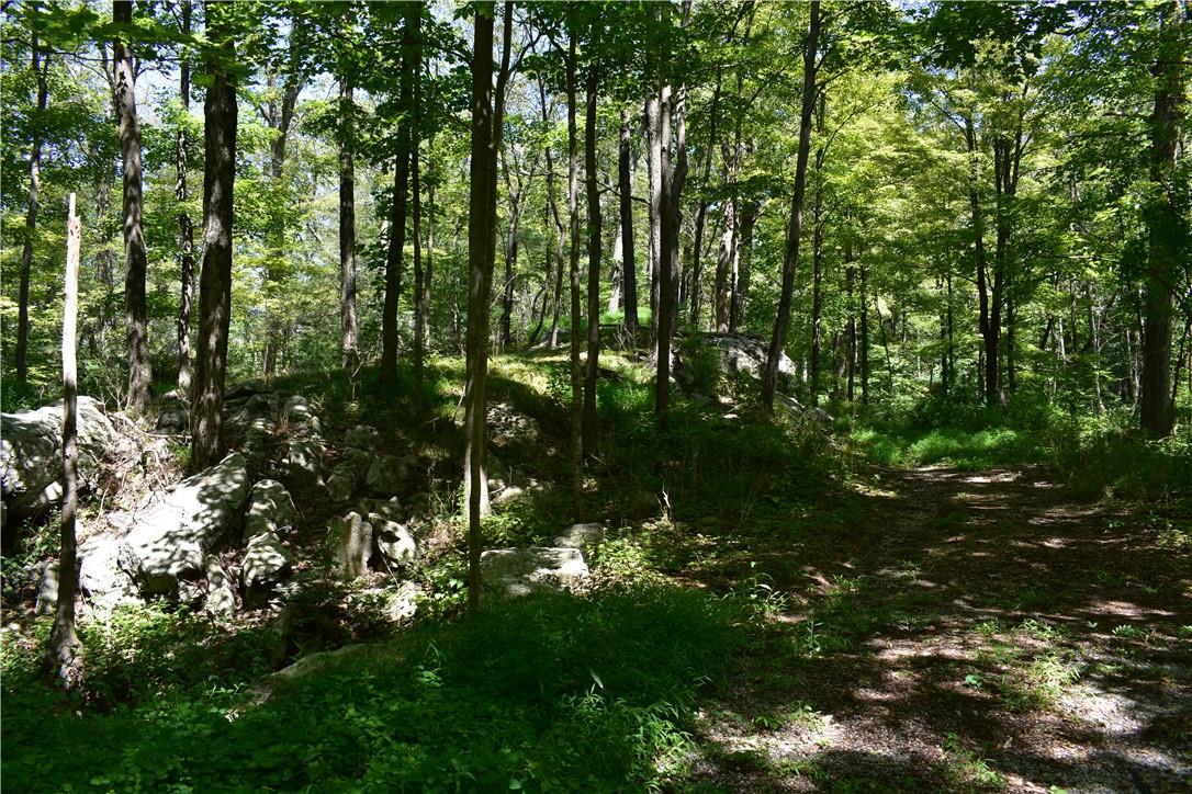 #4 photo, Acoma Road, Tuxedo Park , NY 10987