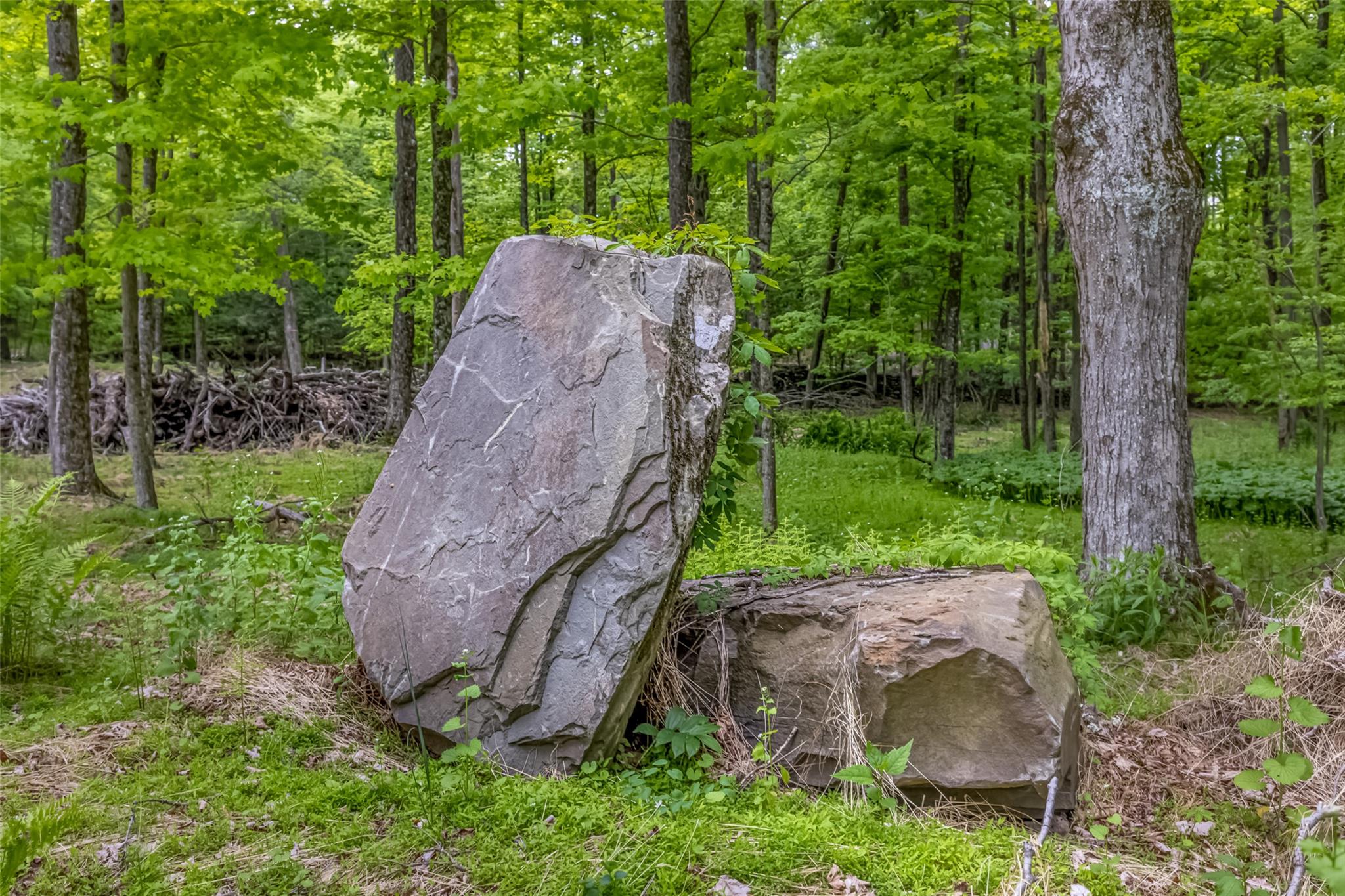 #8 photo, Mossy Hill Road Road, Catskill , NY 12414