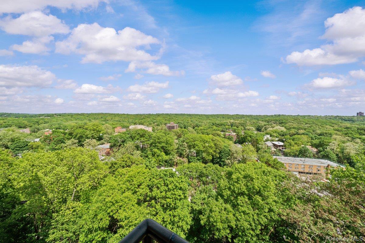 #14 photo, 5500 Fieldston Road, ブロンクス区 Bronx , NY 10471