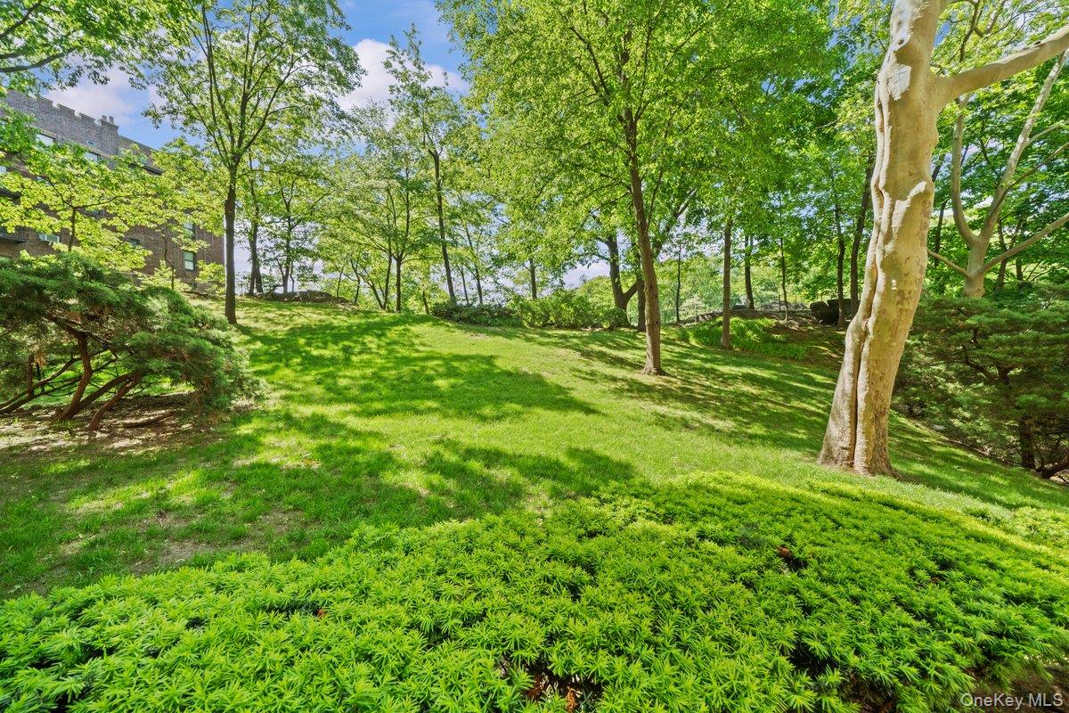 #19 photo, 5500 Fieldston Road, ブロンクス区 Bronx , NY 10471