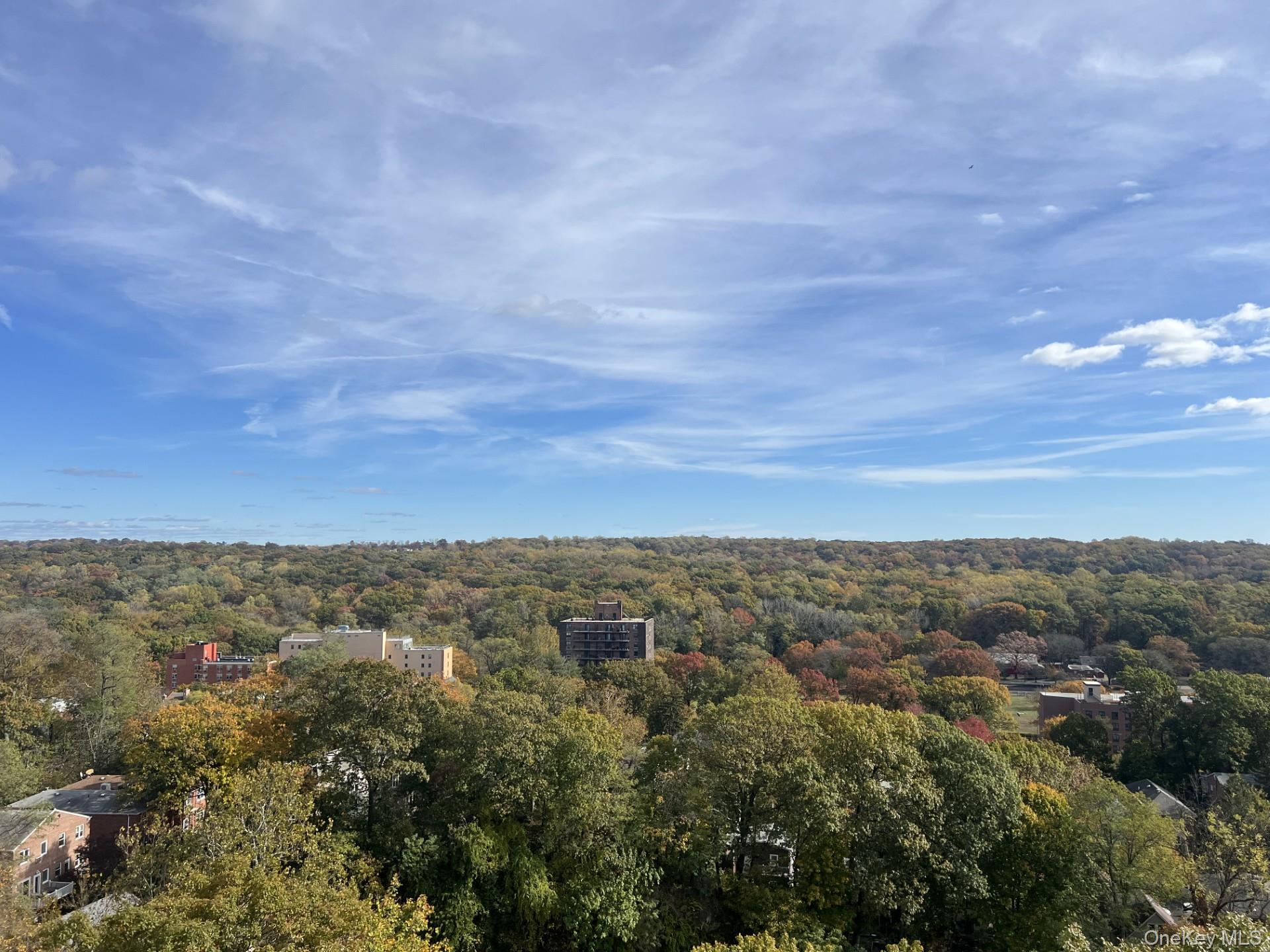 #9 photo, 5500 Fieldston Road, ブロンクス区 Bronx , NY 10471