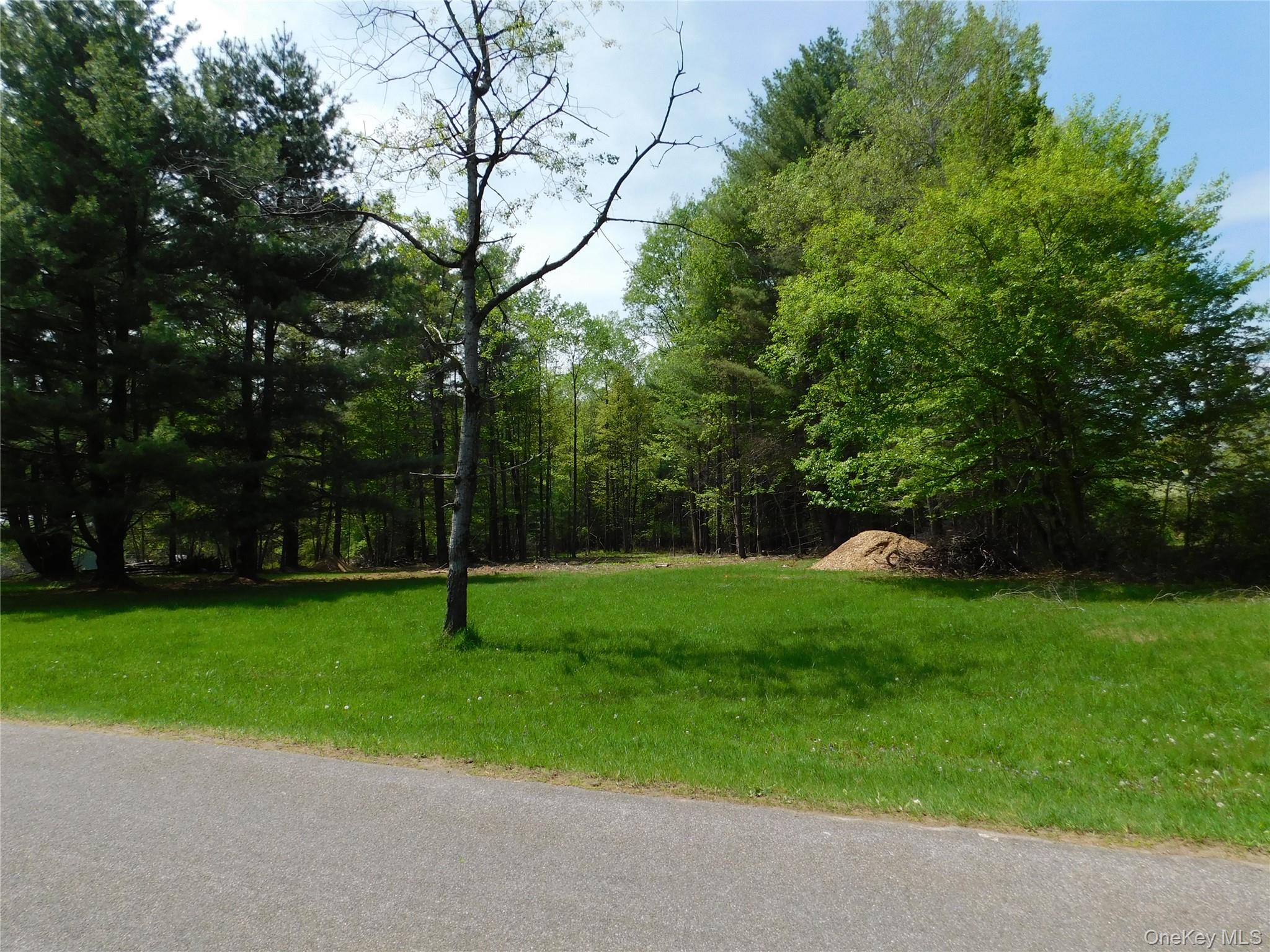 #2 photo, Lackawack Hill Road, Napanoch , NY 12458