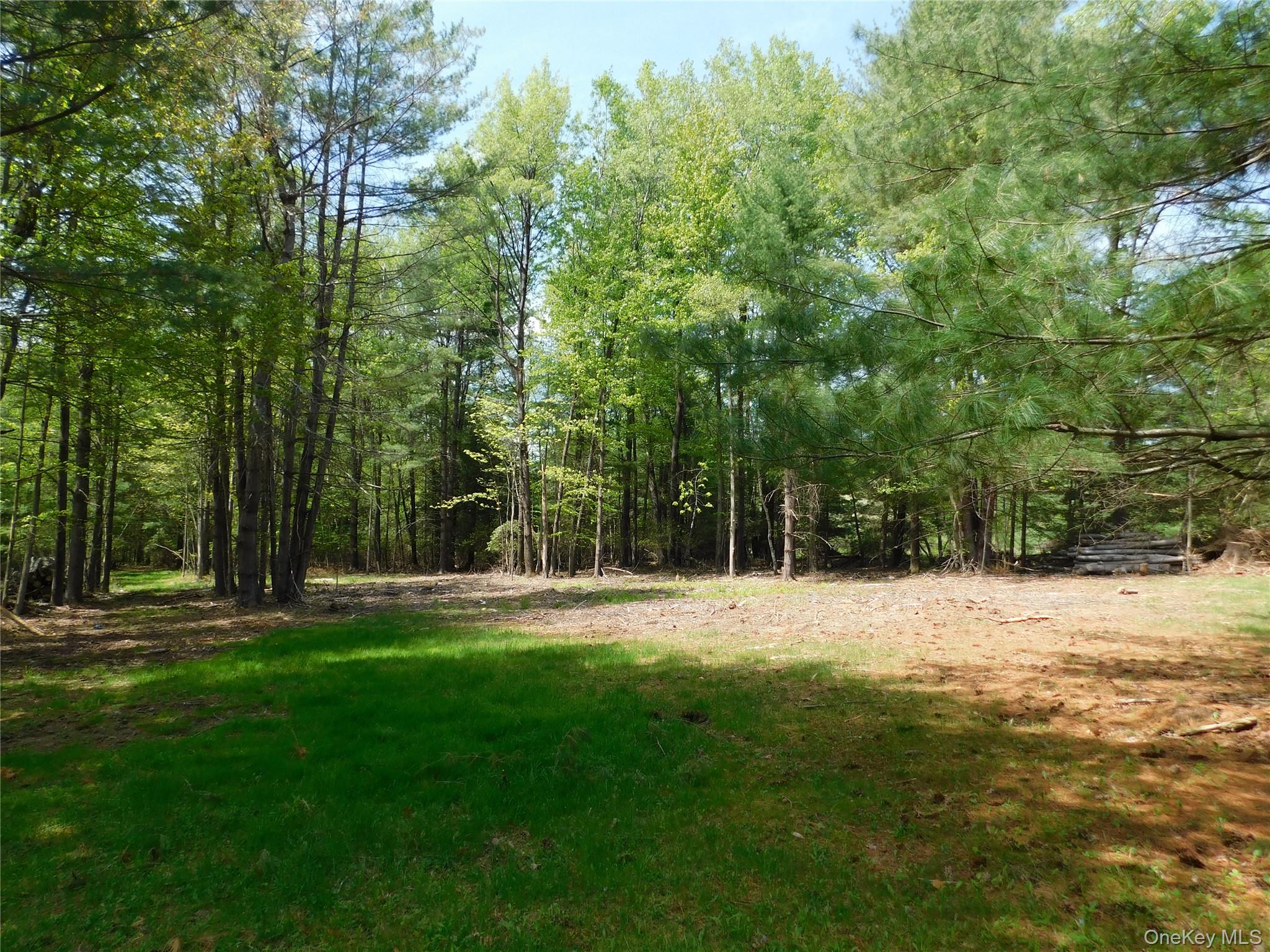 #5 photo, Lackawack Hill Road, Napanoch , NY 12458