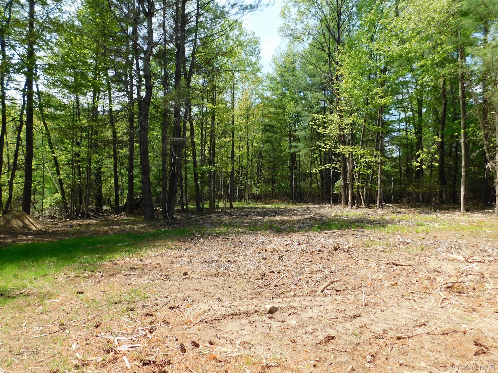 #6 photo, Lackawack Hill Road, Napanoch , NY 12458