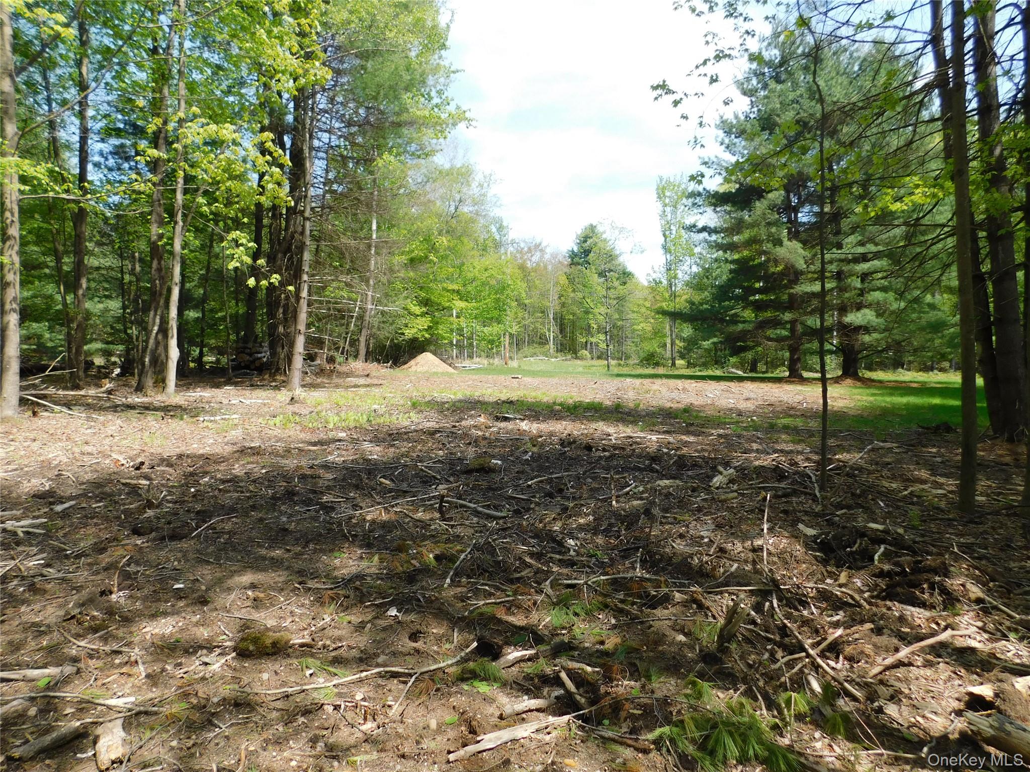 #7 photo, Lackawack Hill Road, Napanoch , NY 12458