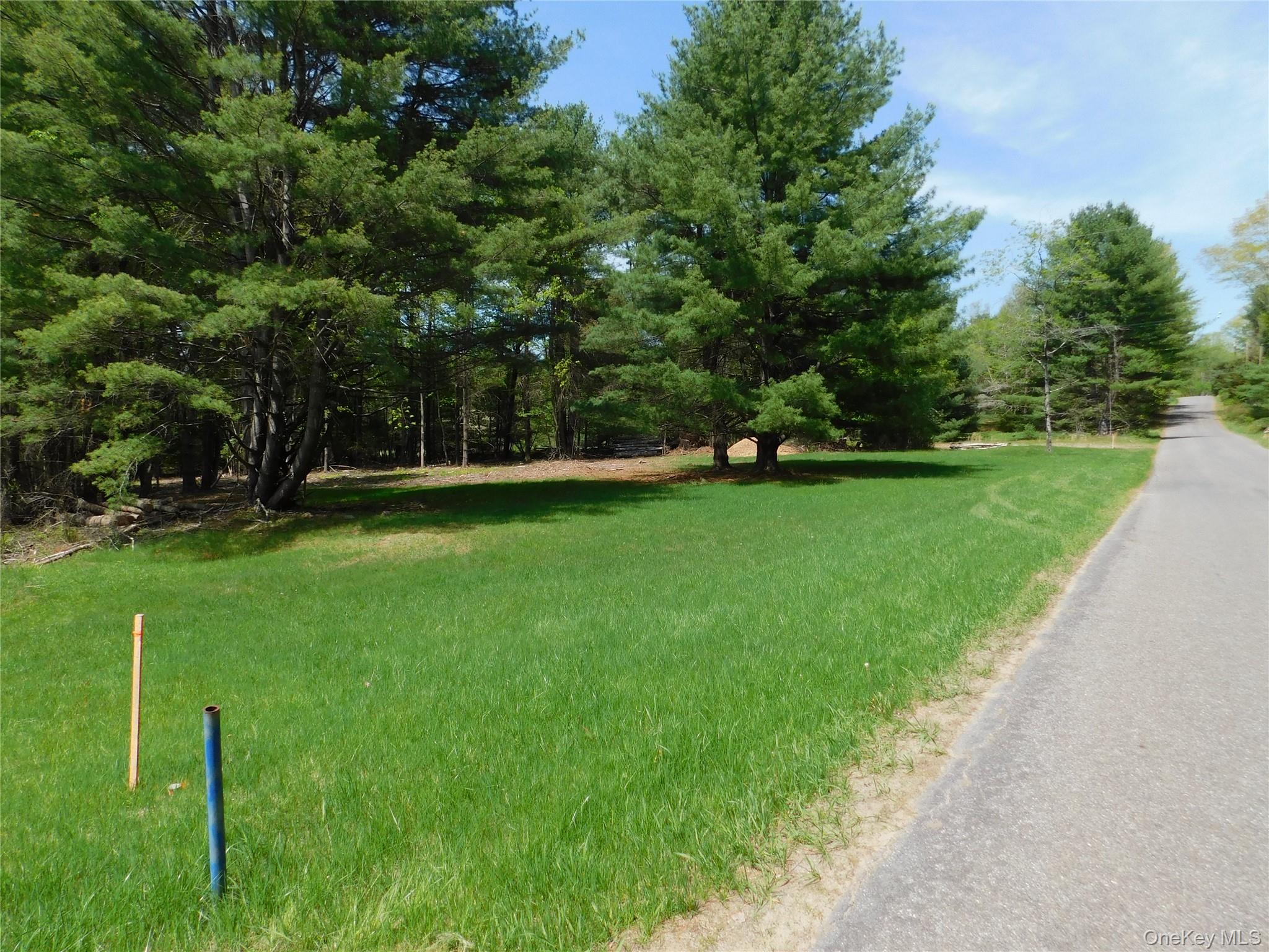 #8 photo, Lackawack Hill Road, Napanoch , NY 12458