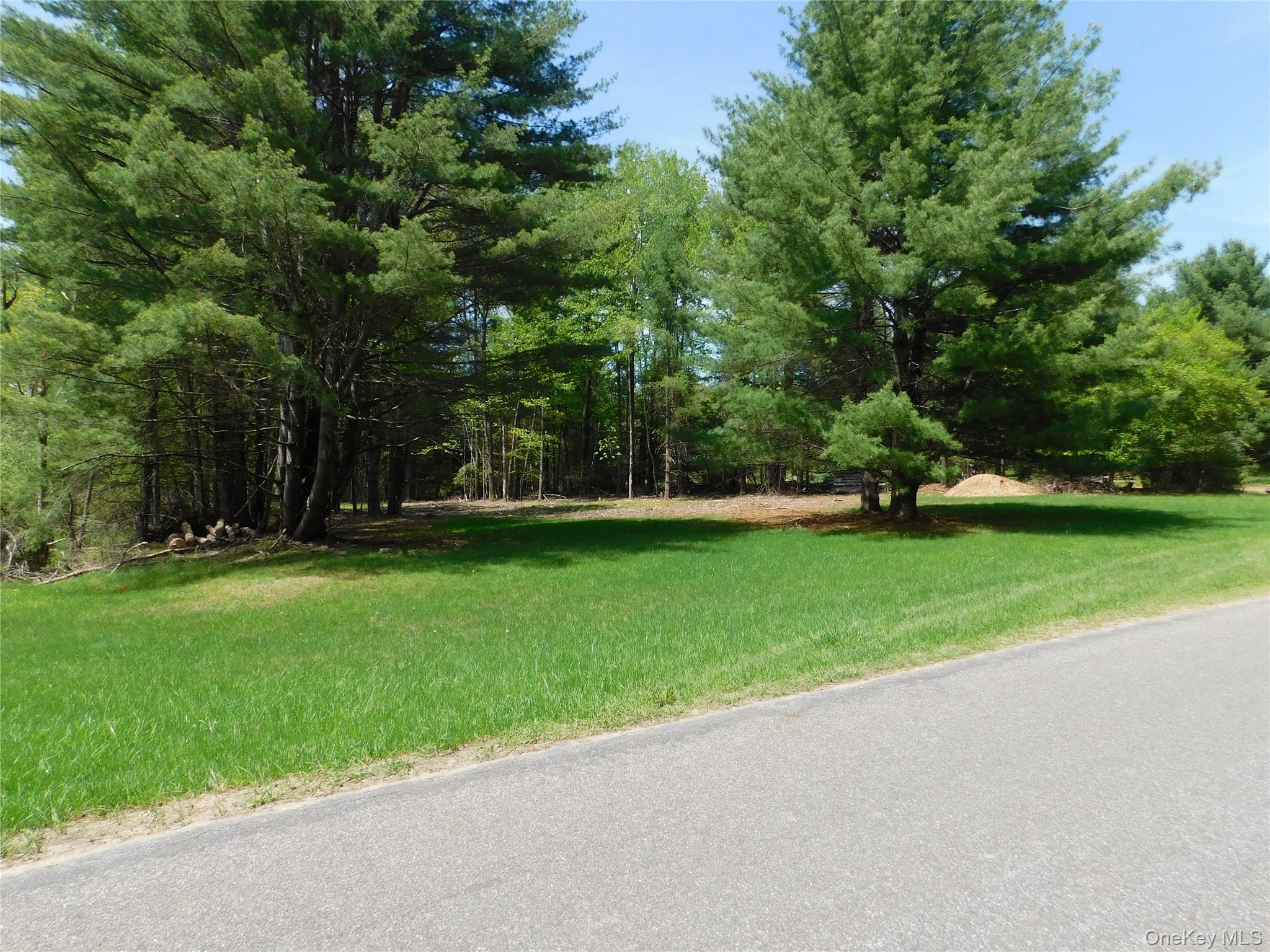 #9 photo, Lackawack Hill Road, Napanoch , NY 12458