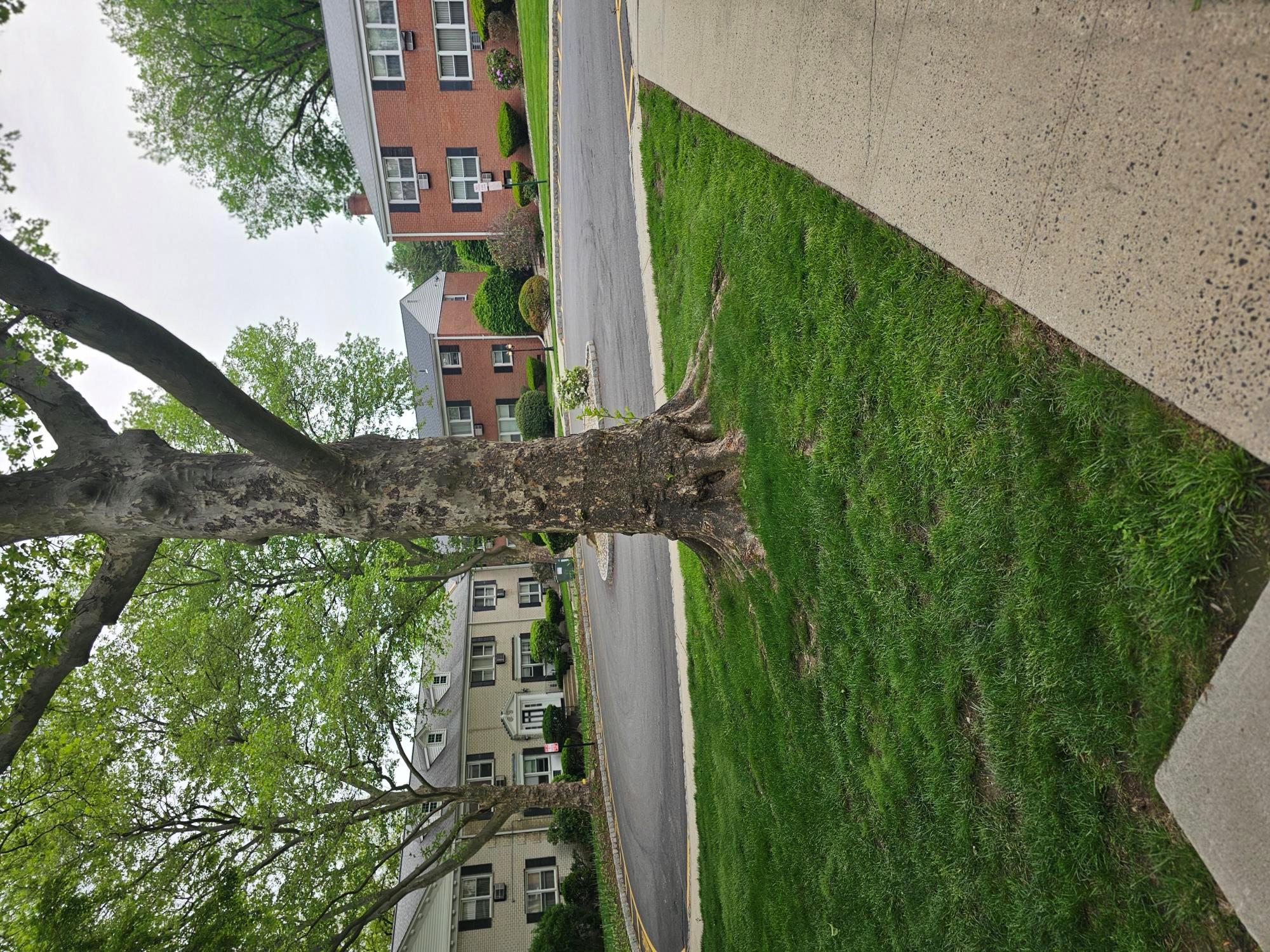 #3 photo, 5 OXFORD COURT, Suffern , NY 10901