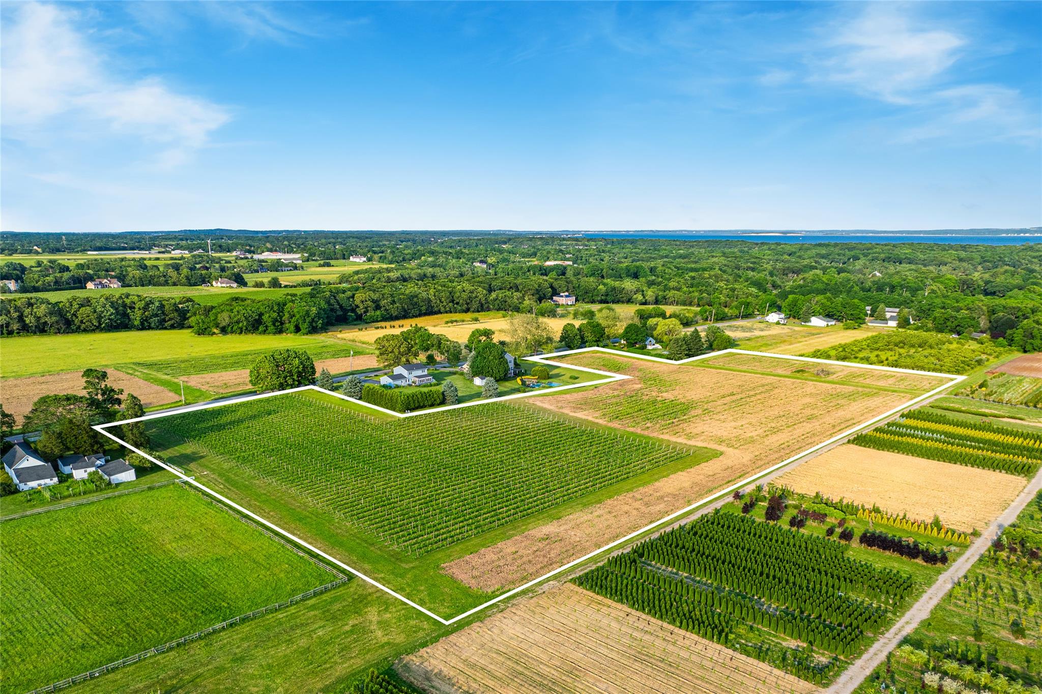 #6 photo, 1555 Cox Lane, サフォーク郡 Cutchogue , NY 11935