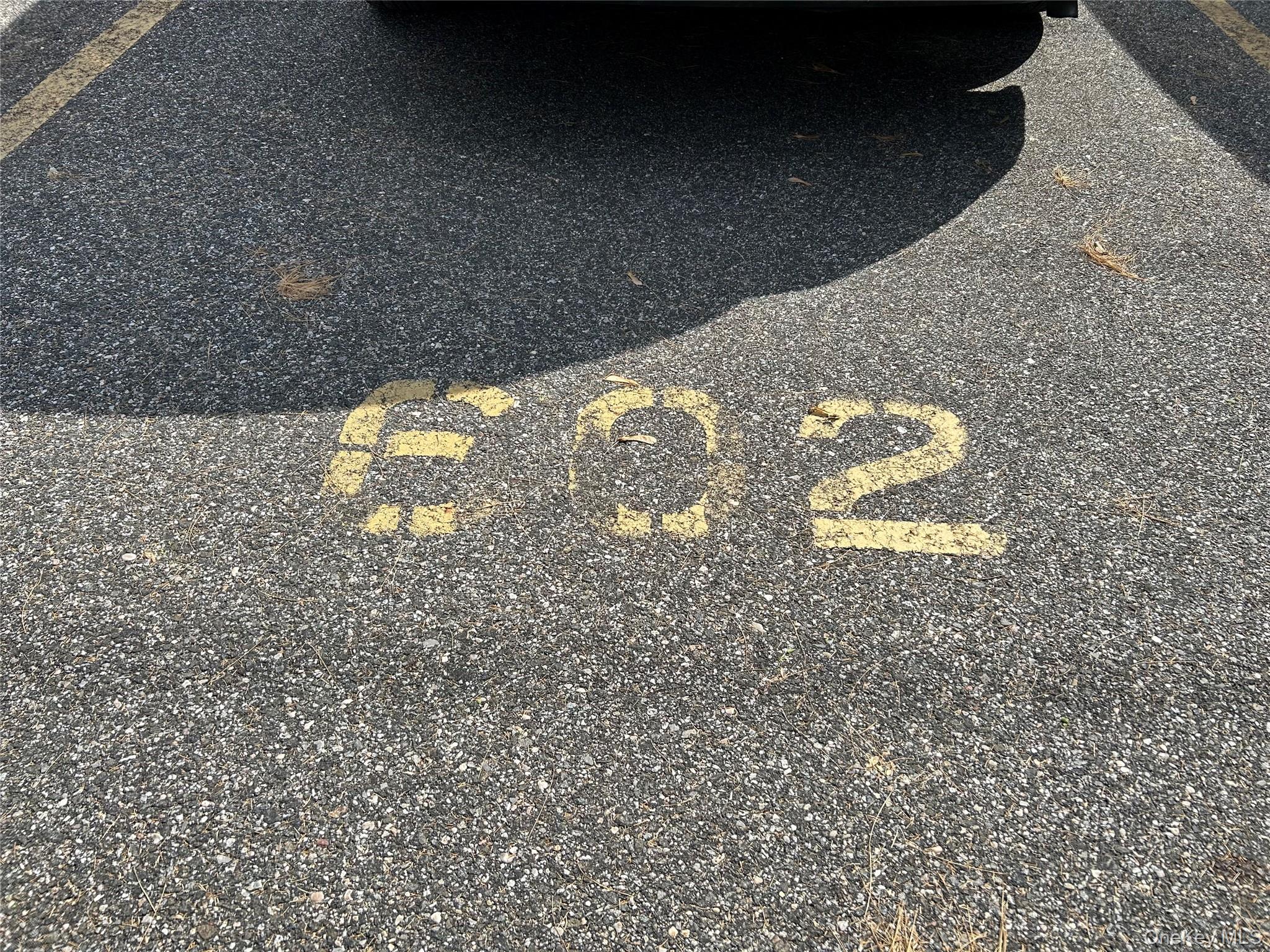 #18 photo, 8 West Mill Drive, ナッソー郡 Great Neck , NY 11021