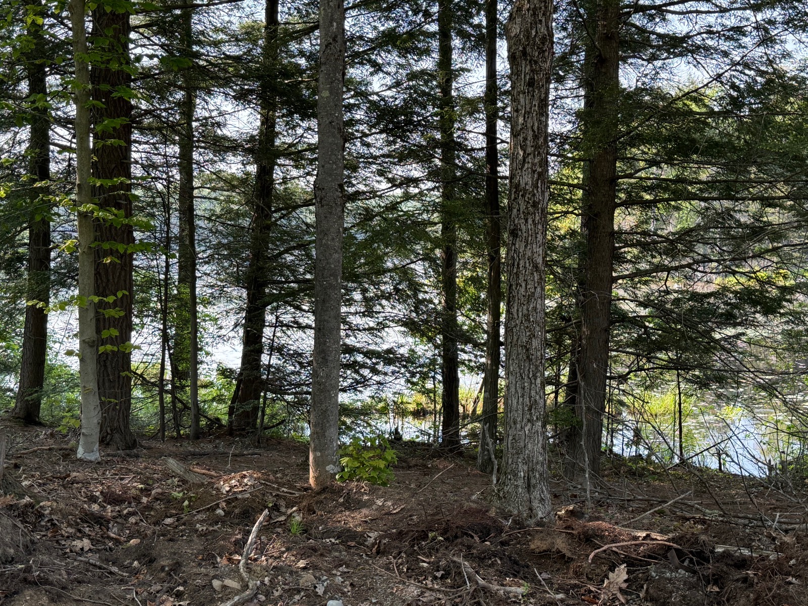 #56 photo, 224  Willie Road, Johnstown , NY 12078