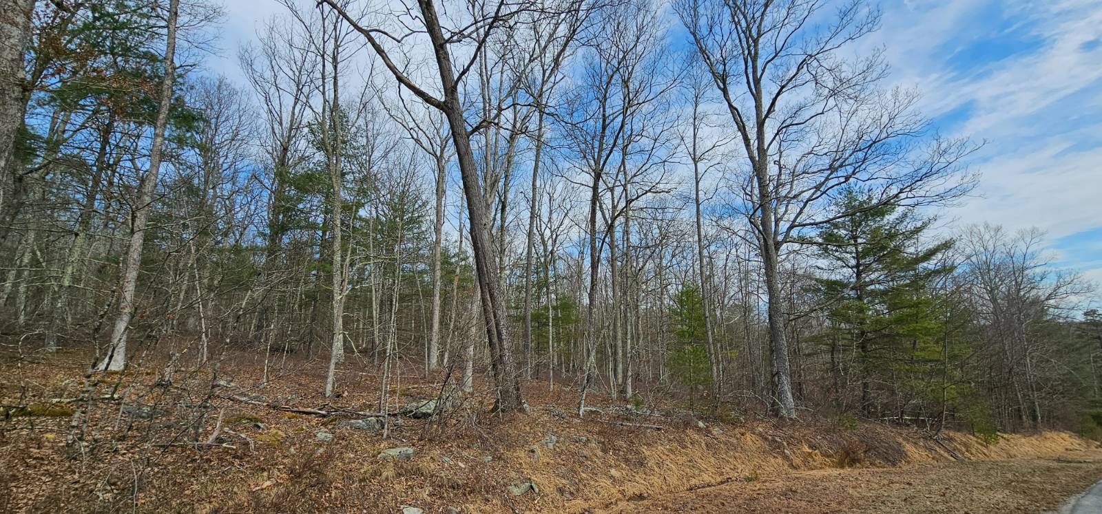 #11 photo, Lot 20.22 Woods Rd, Highland , NY 12719