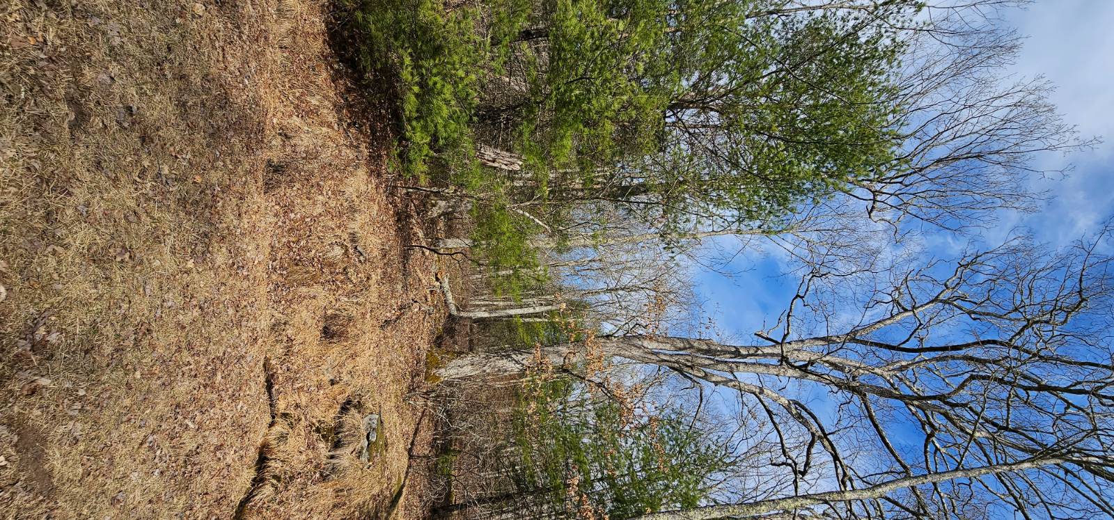 #3 photo, Lot 20.22 Woods Rd, Highland , NY 12719