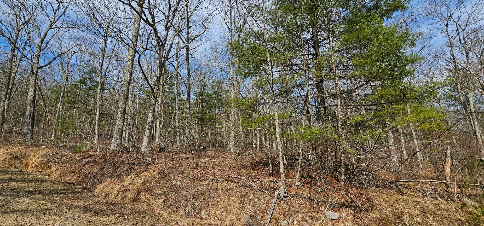 #7 photo, Lot 20.22 Woods Rd, Highland , NY 12719