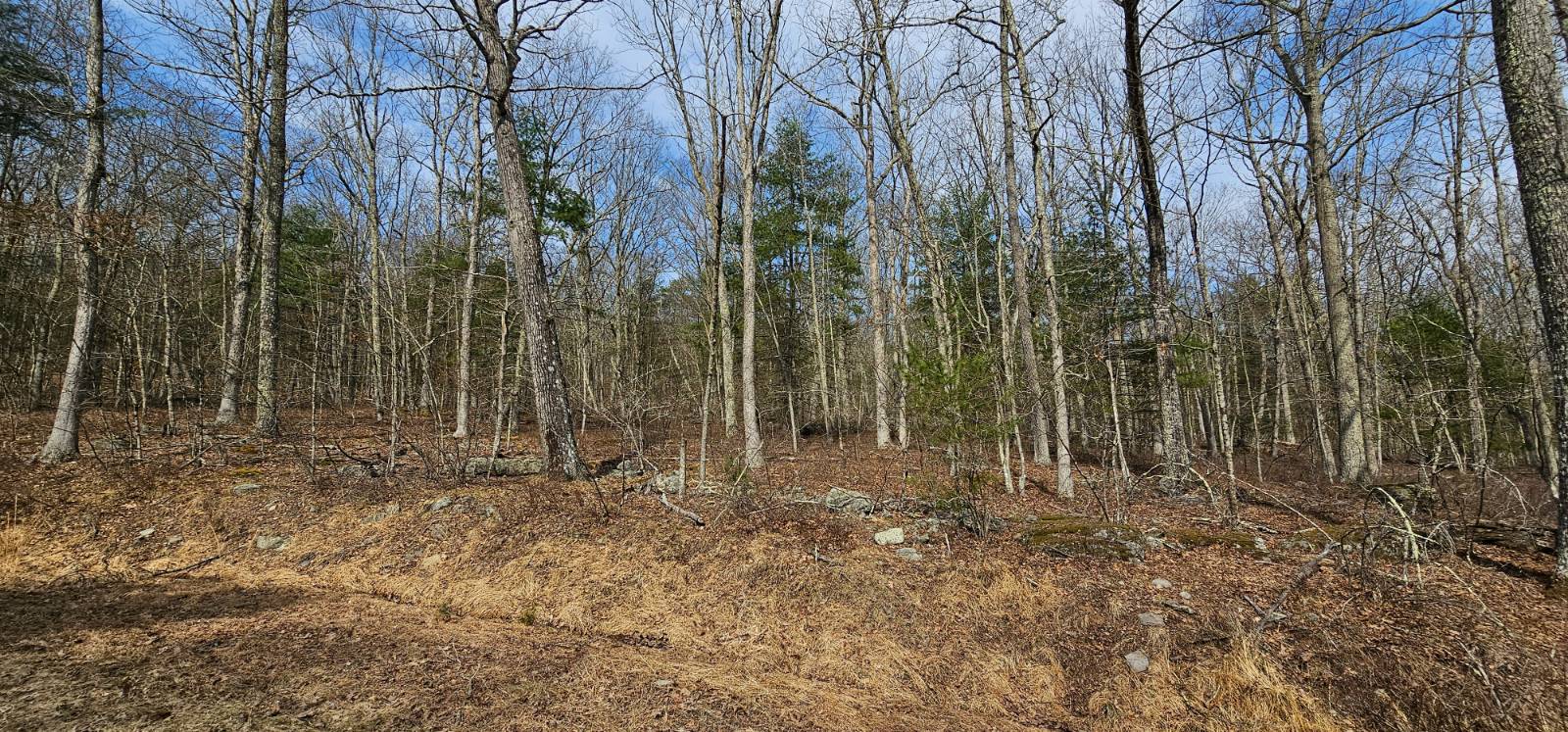 #8 photo, Lot 20.22 Woods Rd, Highland , NY 12719