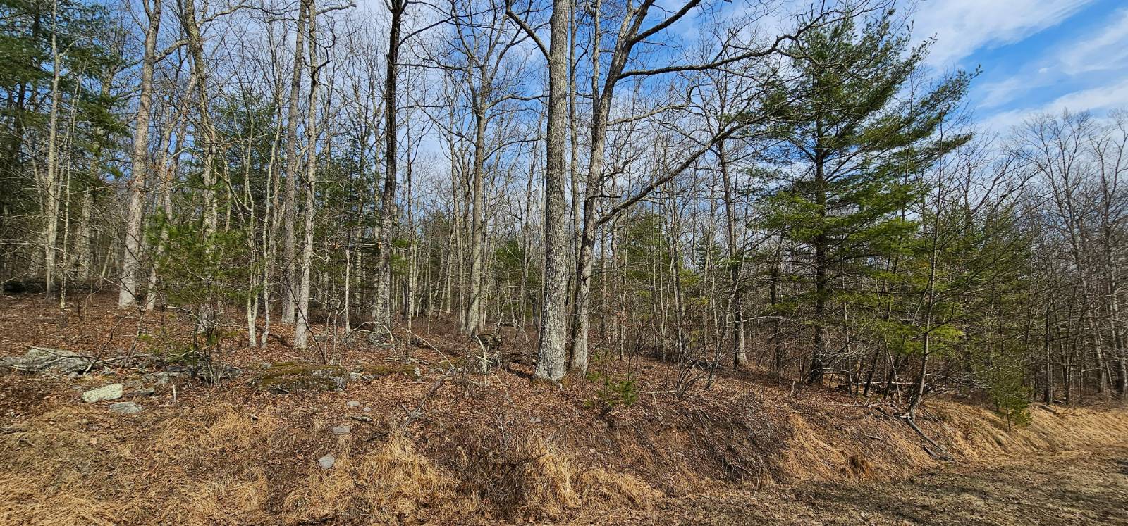 #9 photo, Lot 20.22 Woods Rd, Highland , NY 12719