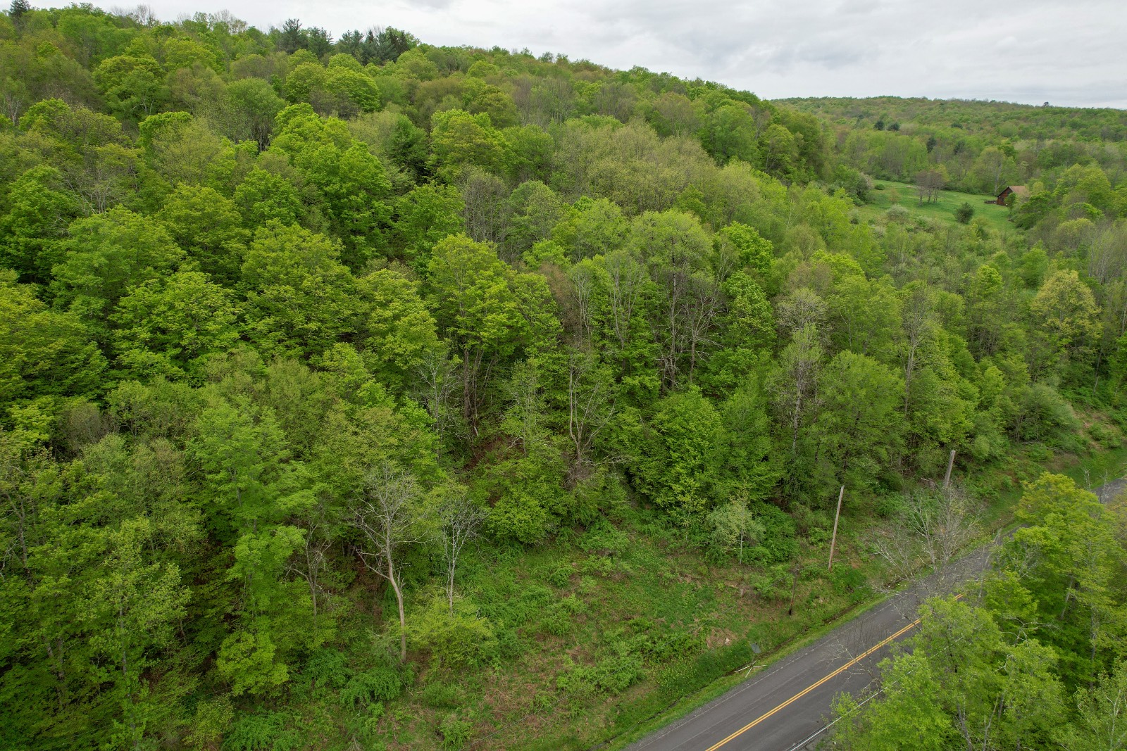 #10 photo, 0 Sands Creek Rd., Hancock , NY 13783