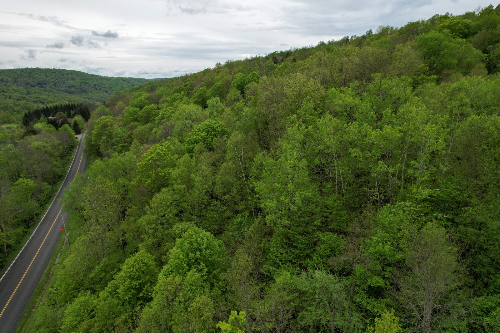 #11 photo, 0 Sands Creek Rd., Hancock , NY 13783