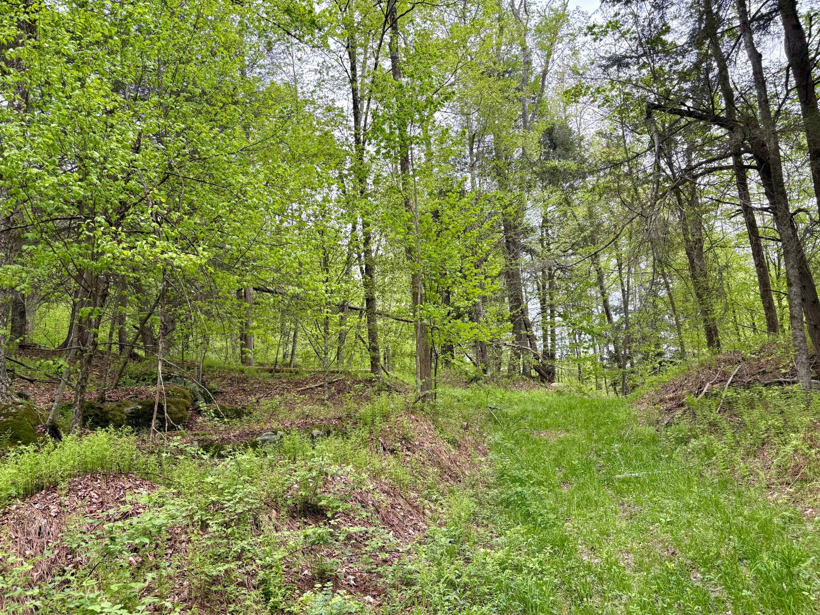 #12 photo, 0 Sands Creek Rd., Hancock , NY 13783