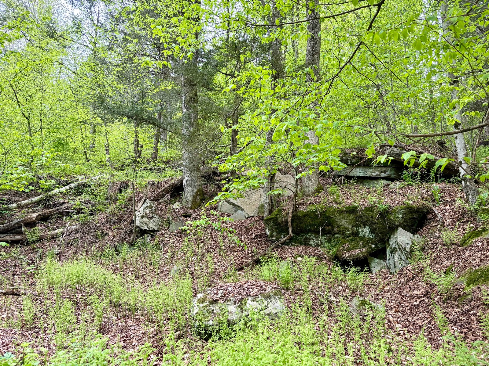 #13 photo, 0 Sands Creek Rd., Hancock , NY 13783