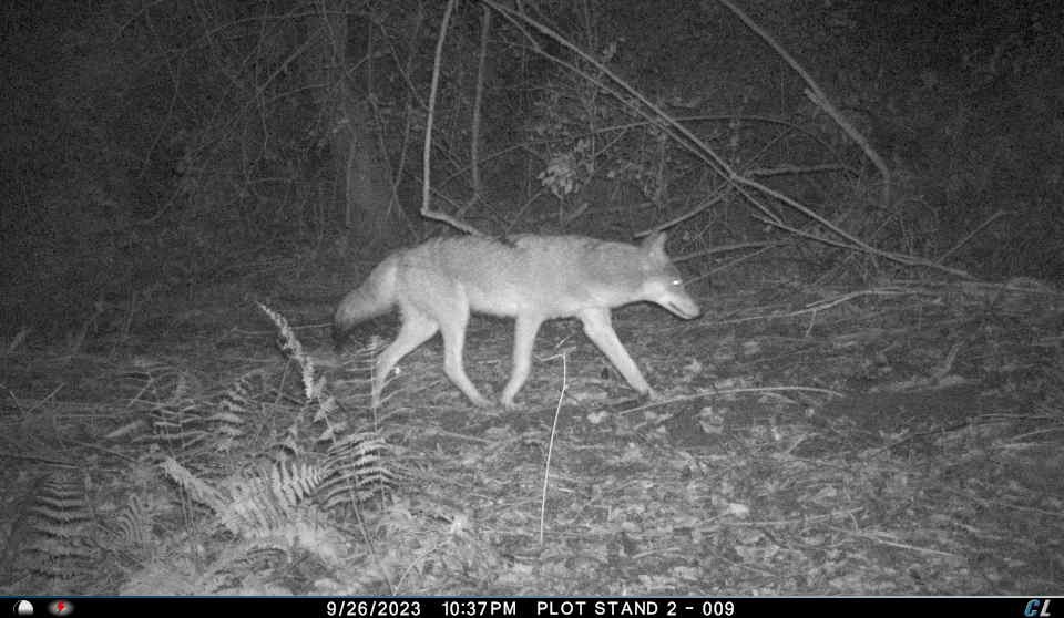 #14 photo, 0 Sands Creek Rd., Hancock , NY 13783