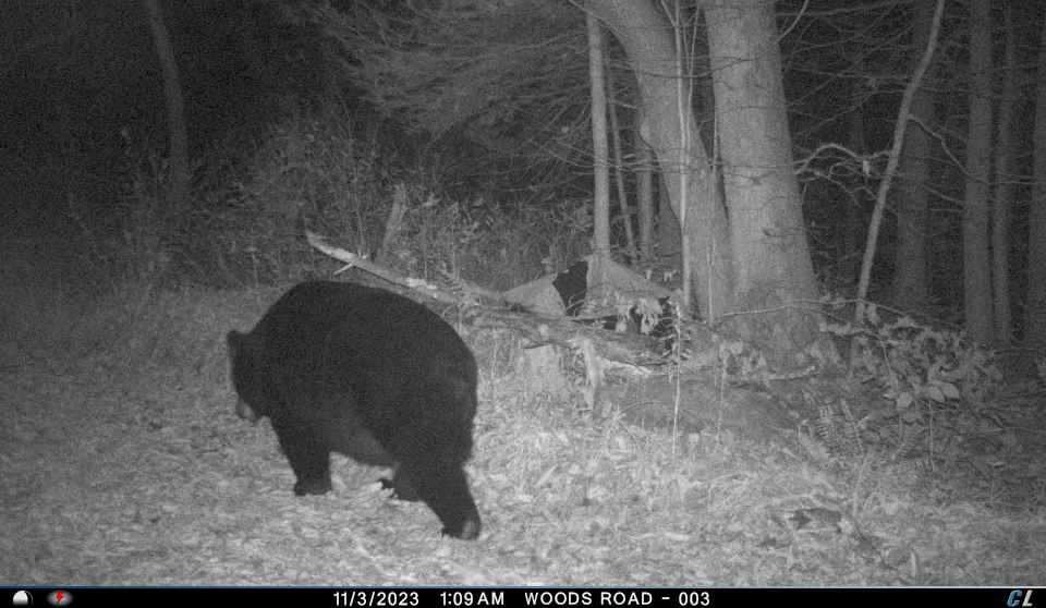 #15 photo, 0 Sands Creek Rd., Hancock , NY 13783