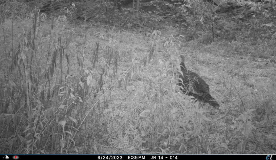 #16 photo, 0 Sands Creek Rd., Hancock , NY 13783