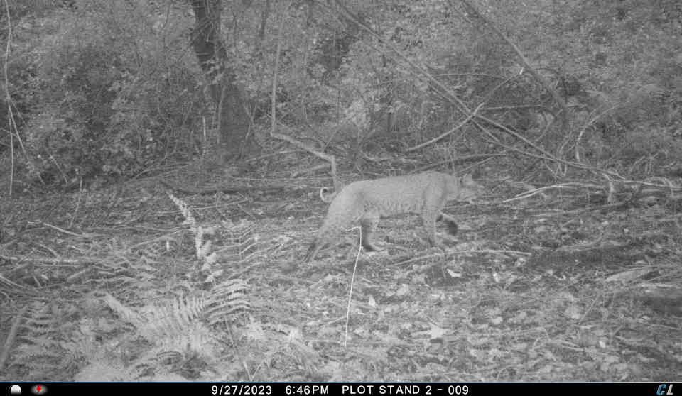 #2 photo, 0 Sands Creek Rd., Hancock , NY 13783