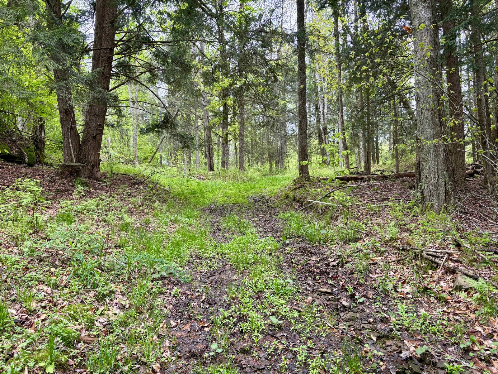 #4 photo, 0 Sands Creek Rd., Hancock , NY 13783