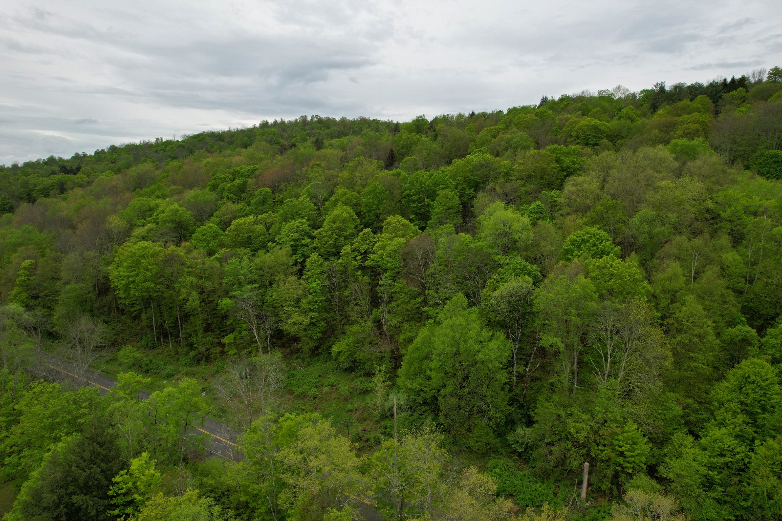 #9 photo, 0 Sands Creek Rd., Hancock , NY 13783