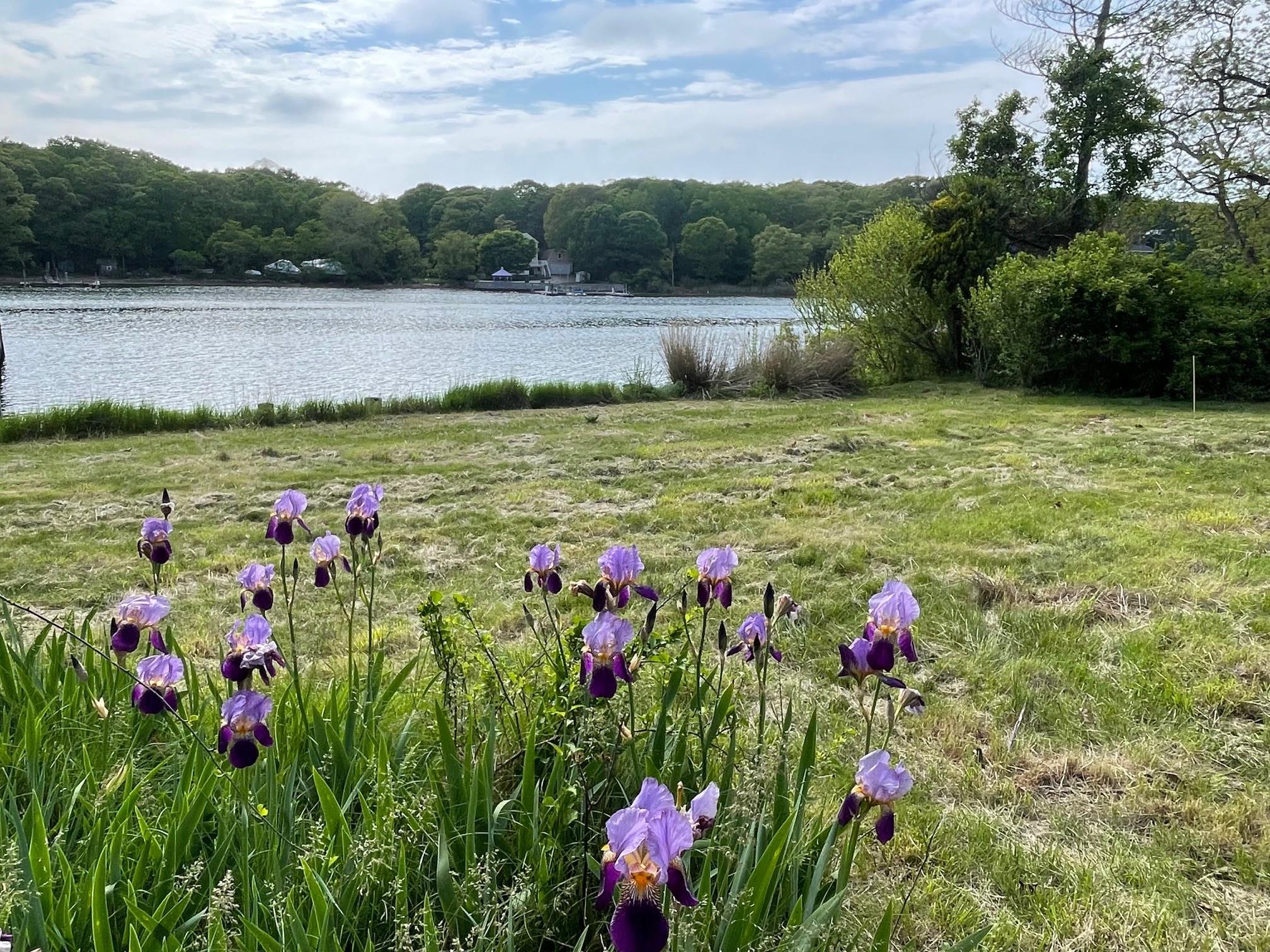 #2 photo, 1015 Knollwood Lane, 東長島 Mattituck , NY 11952