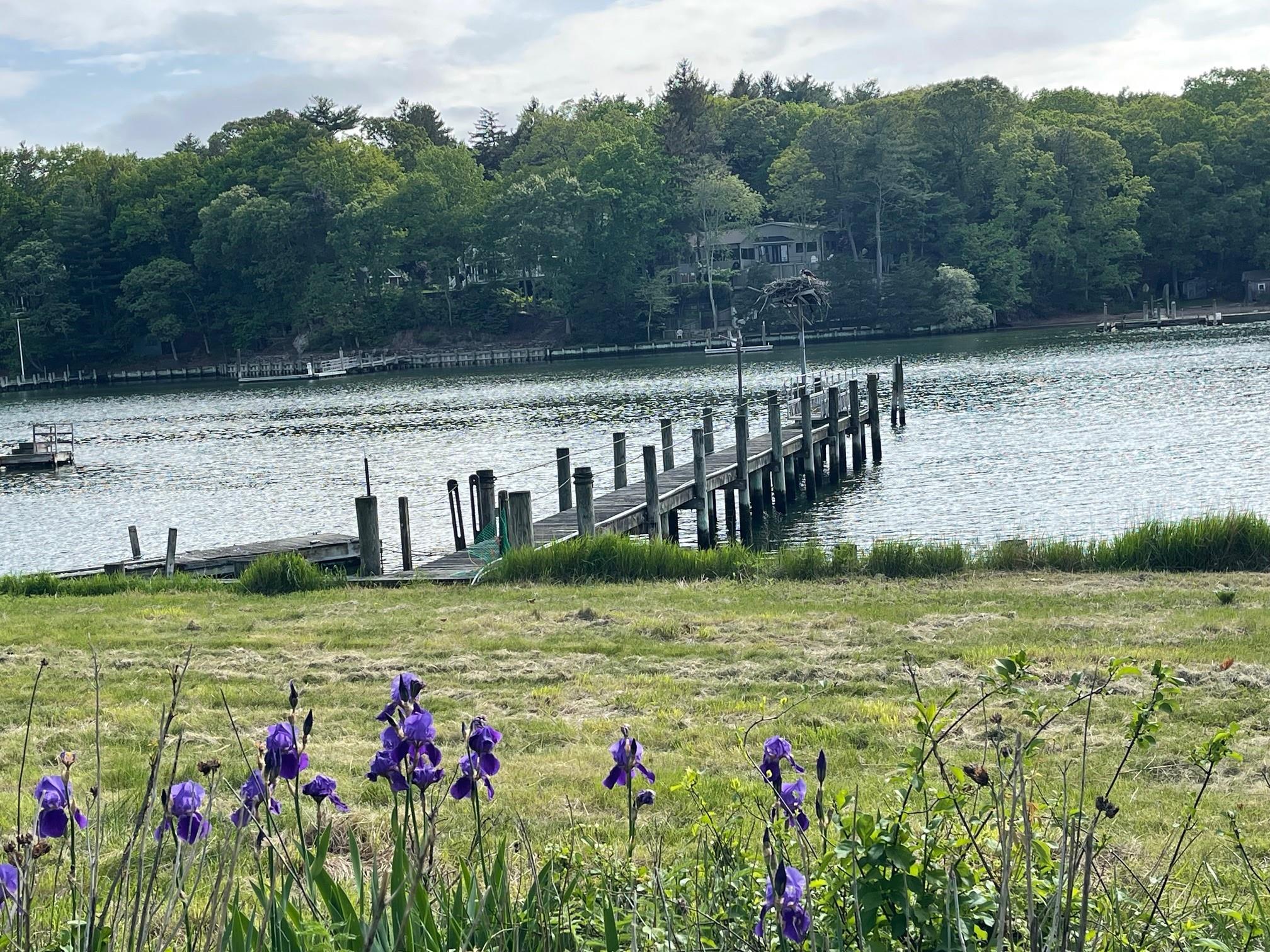 #7 photo, 1015 Knollwood Lane, 東長島 Mattituck , NY 11952