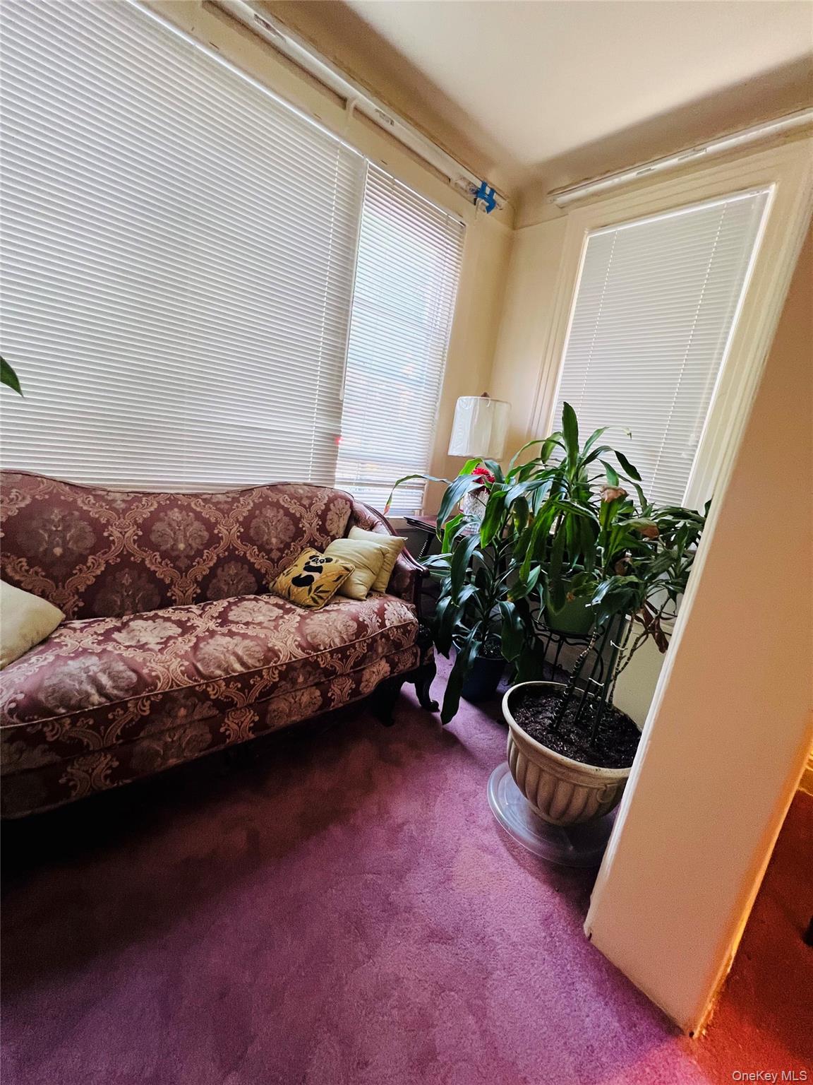 #10 photo, 1120 Anderson Avenue, ブロンクス区 Bronx , NY 10452