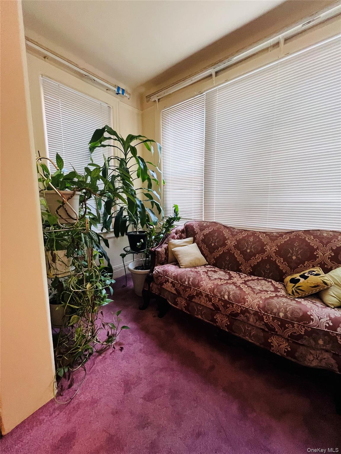 #9 photo, 1120 Anderson Avenue, ブロンクス区 Bronx , NY 10452