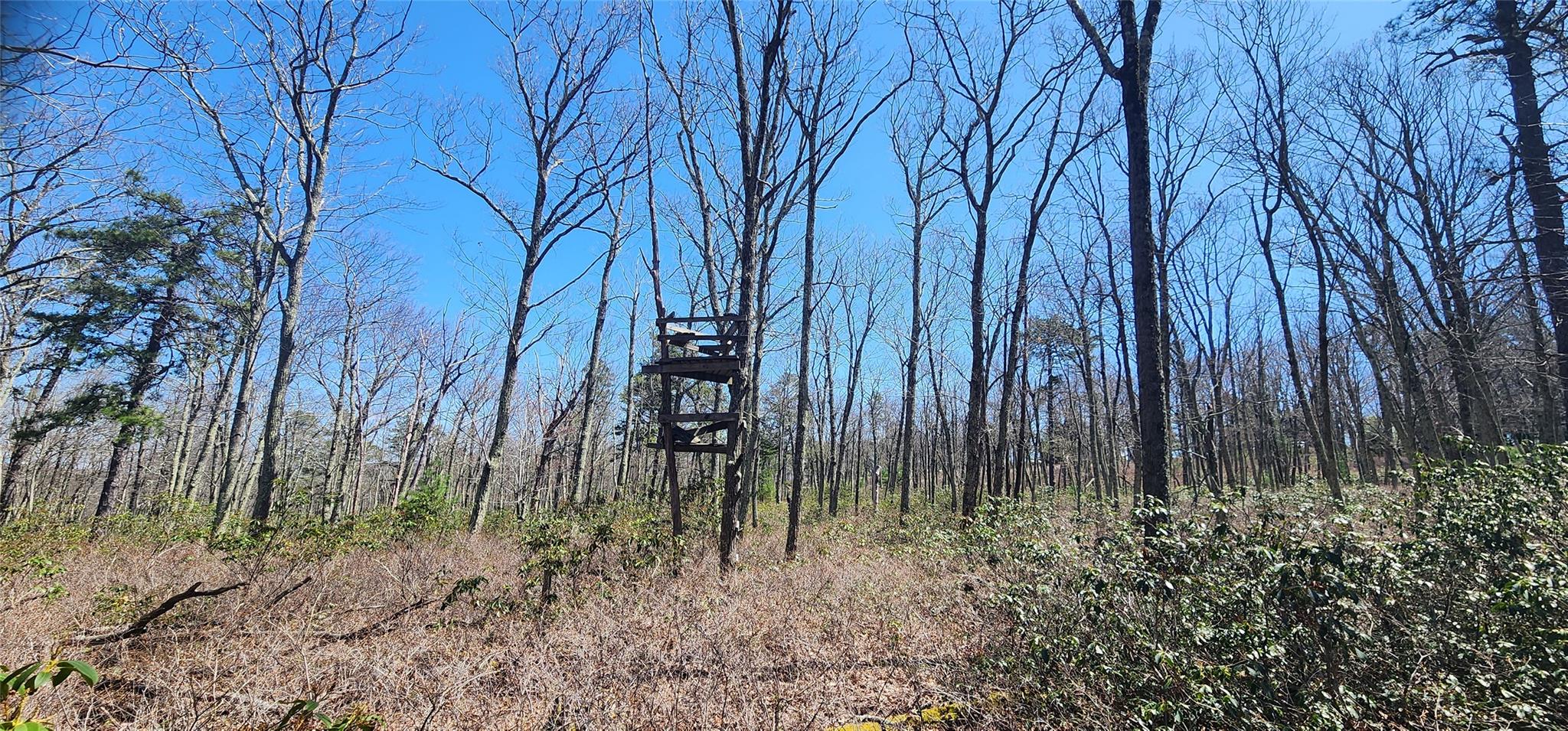 #2 photo, Peewee Trail, Wurtsboro , NY 12790