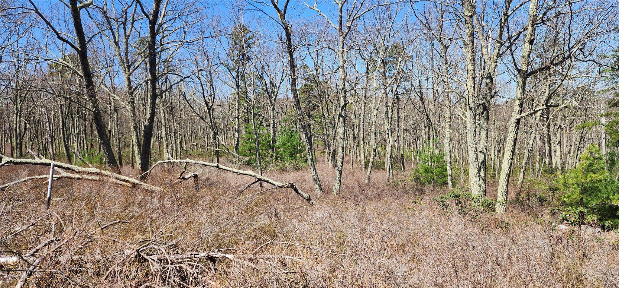 #4 photo, Peewee Trail, Wurtsboro , NY 12790