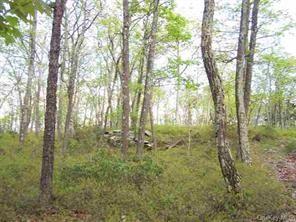 #5 photo, Peewee Trail, Wurtsboro , NY 12790