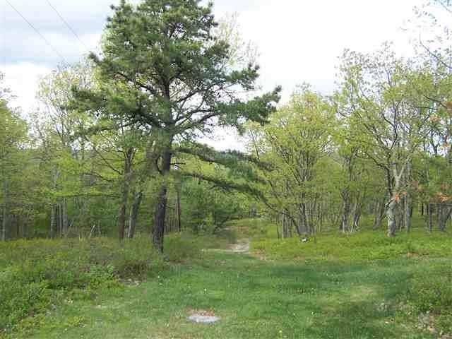 #2 photo, New Road, Wurtsboro , NY 12790