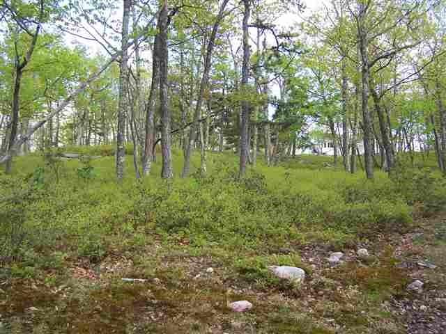 #4 photo, New Road, Wurtsboro , NY 12790