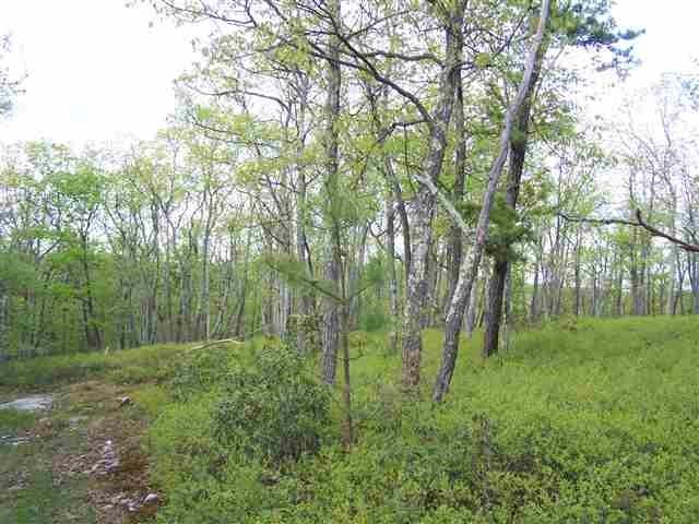 #5 photo, New Road, Wurtsboro , NY 12790