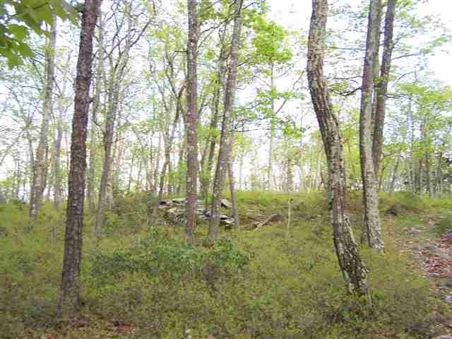 #6 photo, New Road, Wurtsboro , NY 12790