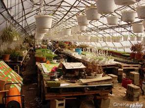 #4 photo, 164 little east neck rd, サフォーク郡 West Babylon , NY 11704