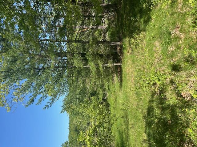 #13 photo, 6450B NYS 97, Narrowsburg , NY 12764