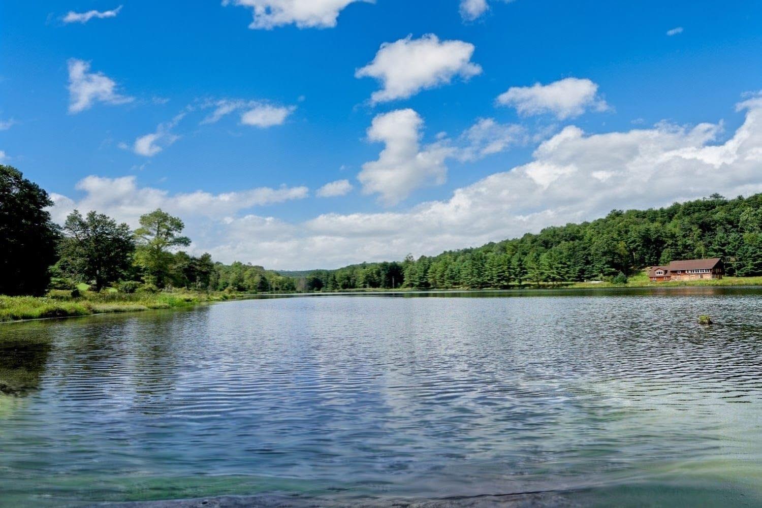 #2 photo, 6450B NYS 97, Narrowsburg , NY 12764