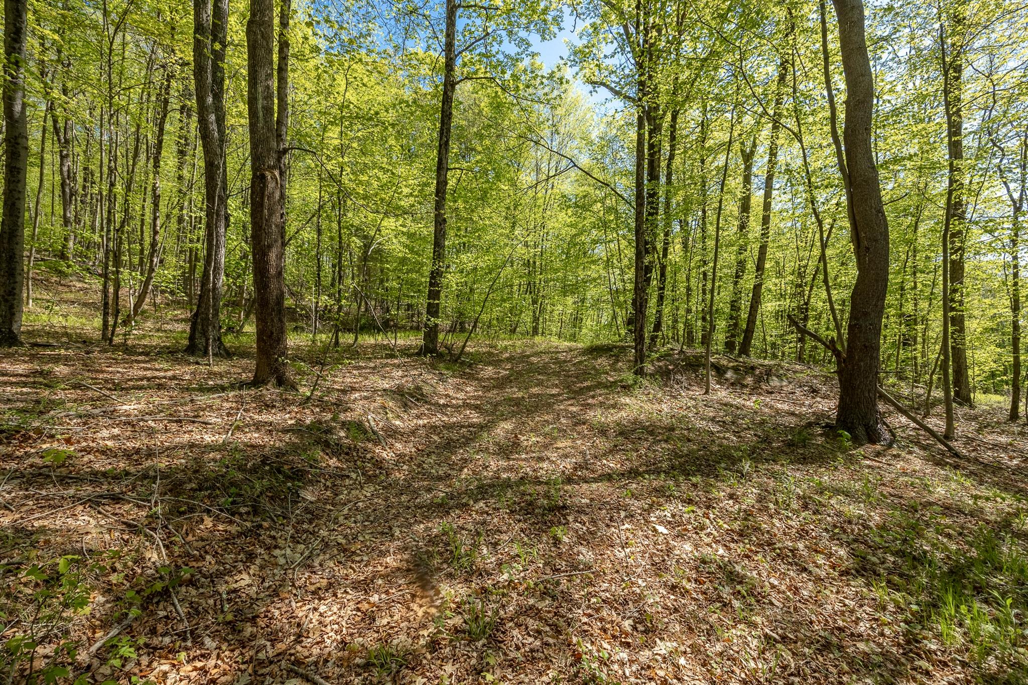 #10 photo, Overlook Drive, Hillsdale , NY 